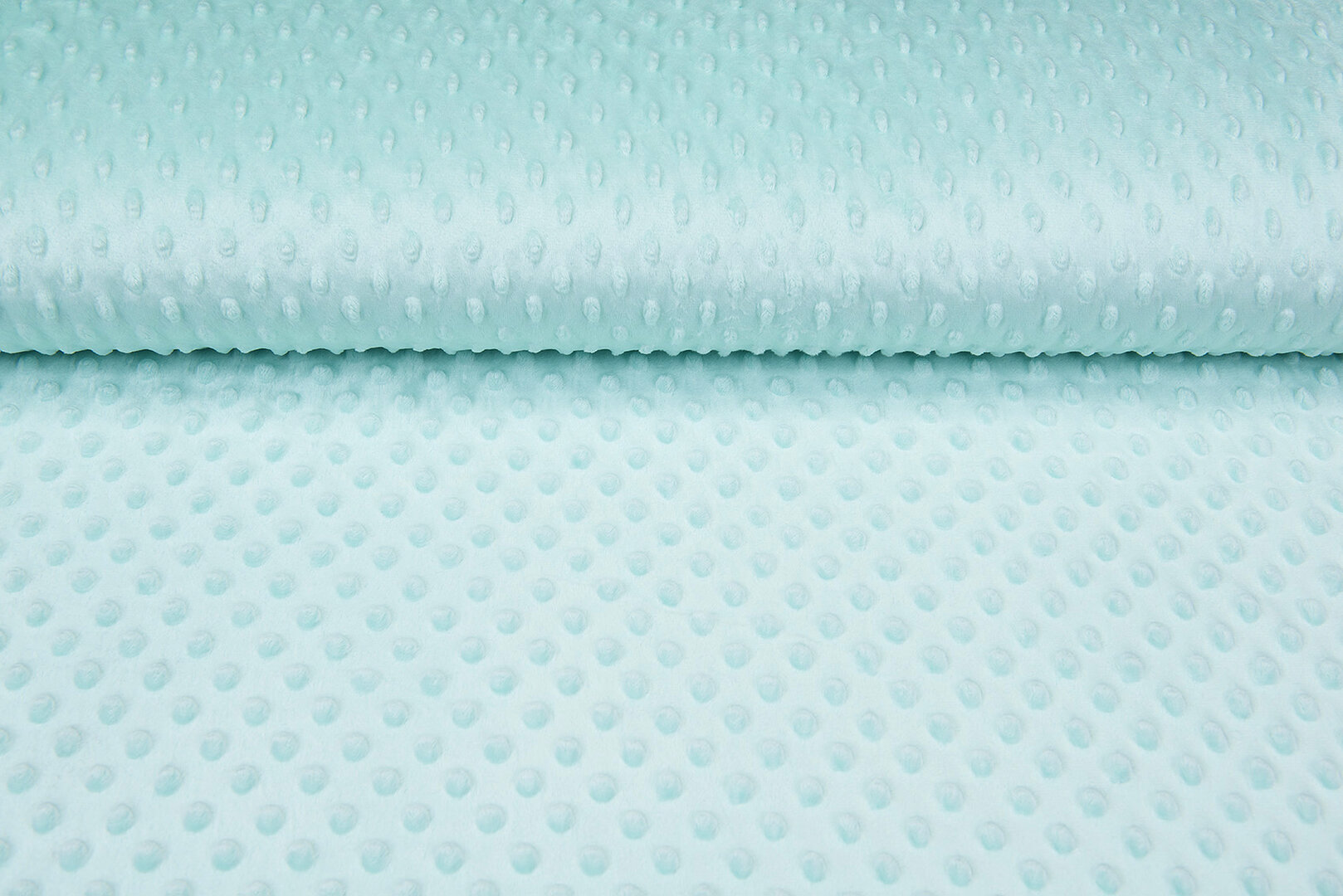 Minky fleece mint