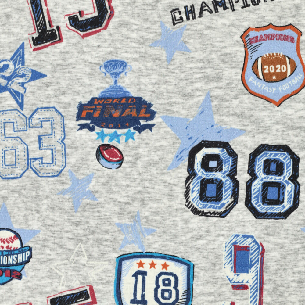 Alpenfleece bedruckt champions football grau