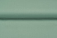 Canvas uni pastel mint