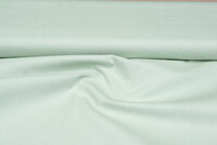 Canvas uni lichtmint