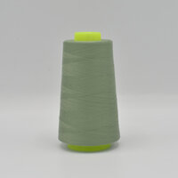 Lockgaren dusty mint