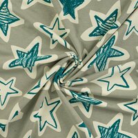 French Terry bedrukt stars mint