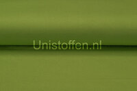 Romanit Jersey,grasgrün