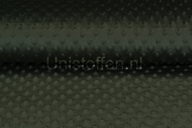 Minky Fleece groen