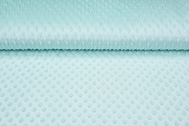 Minky fleece mint
