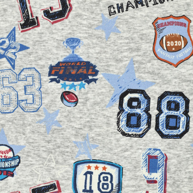 Alpenfleece bedrukt champions football grijs