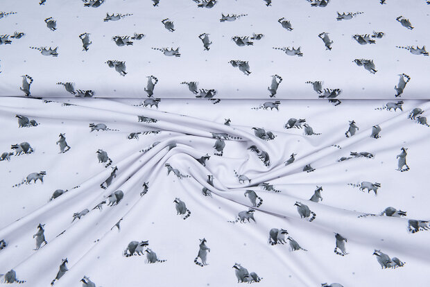 Katoenen Tricot bedrukt raccoon