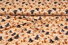 Katoenen Tricot digitaal bedrukt little gorilla-tiger camel