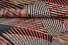 Katoenen Tricot bedrukt wild color rood-zwart