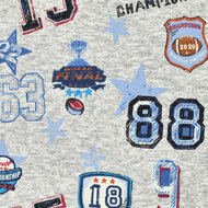 Alpenfleece bedruckt champions football grau