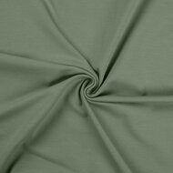 Katoenen tricot pastelmint