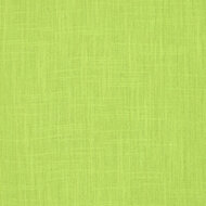 Slub Stone Washed Baumwolle lime