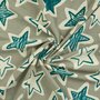 French Terry bedrukt stars mint